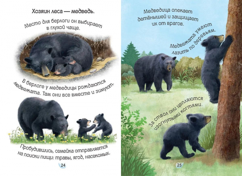 Лесные жители. Умные книжки