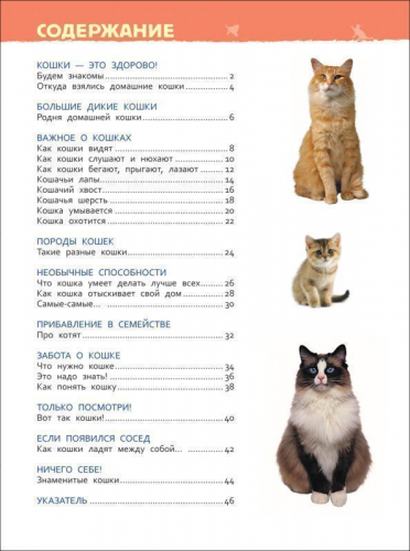 Кошки и котята. Энциклопедия для детского сада