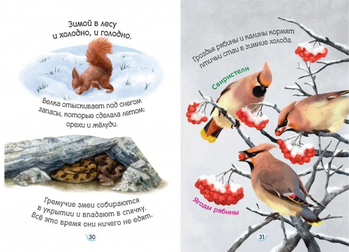 Лесные жители. Умные книжки