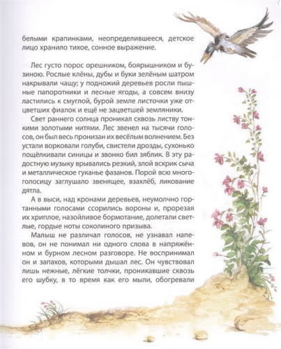 Бемби