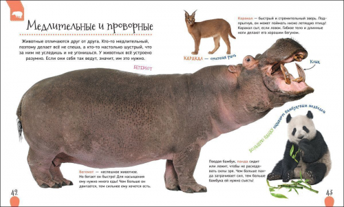 Удивительные животные. Первая энциклопедия