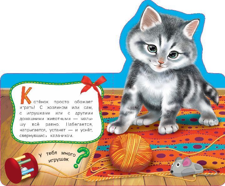 Кошка. Мои веселые друзья