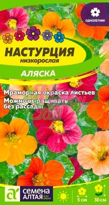 Цветы Настурция Аляска низкорослая (1 гр) Семена Алтая