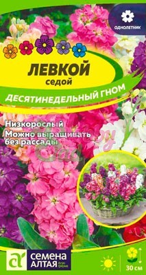 Цветы Левкой Десятинедельный гном седой (0,1 г) Семена Алтая