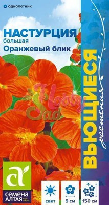 Цветы Настурция Оранжевый Блик большая Вьющаяся (0,5 гр) Семена Алтая