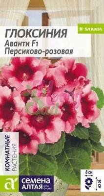 Цветы Глоксиния Аванти Персиково-розовая F1 (8 шт) Семена Алтая Комнатные