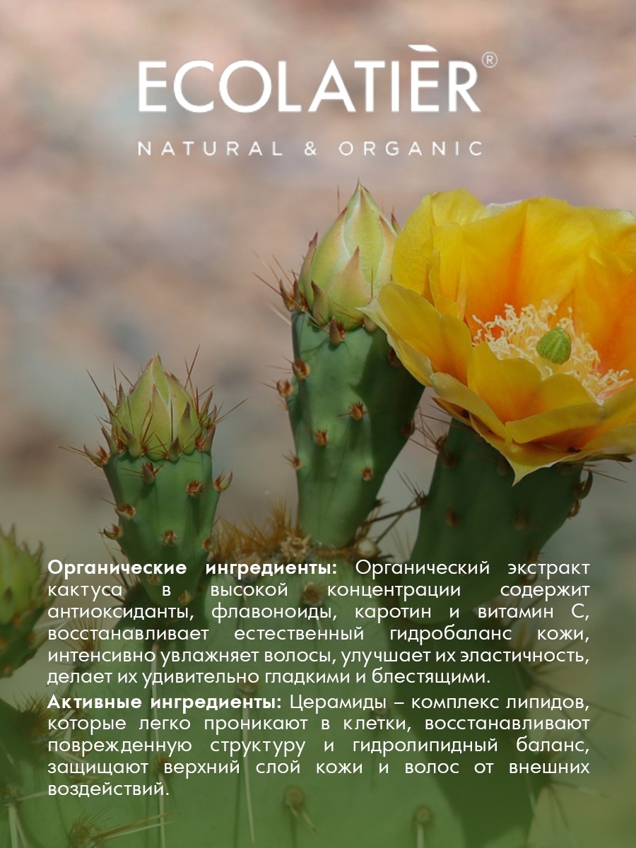 ECOLATIER Cactus Flower