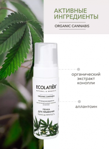 ECL GREEN Cannabis Oil//6130/Пенка для умывания , 150 мл