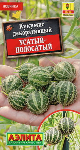 Кукумис декоративный Усатый-полосатый