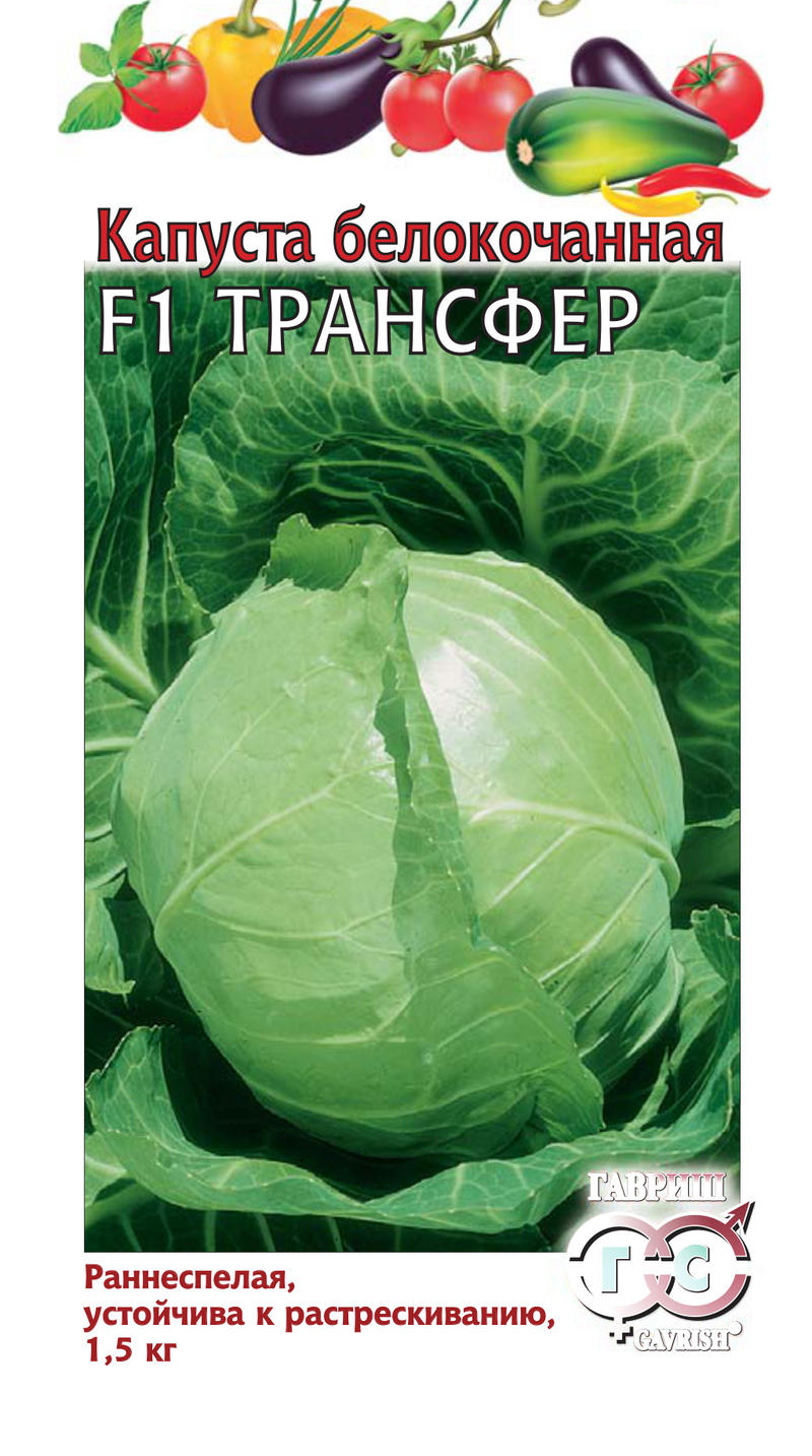 Капуста Трансфер F1, 10 шт ц/п Гавриш (ранняя)