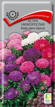 Цв. Астра Низкорослая Ковер, смесь 0,2 г ц/п Поиск