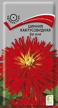 Цветы Цинния кактус Бог огня 0,4 г ц/п Поиск (однол.)