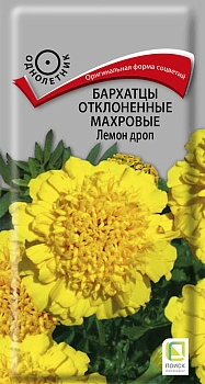 Цветы Бархатцы откл. Лемон Дроп 0,4 г ц/п Поиск (высота 20 см)