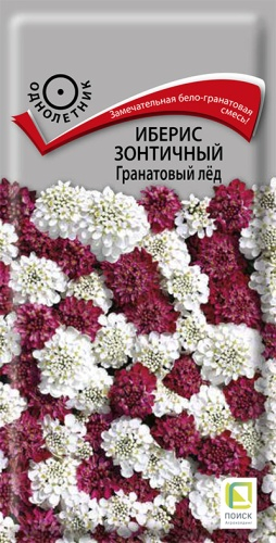Цветы Иберис Гранатовый лед, смесь 0,1 г ц/п Поиск (однол.)