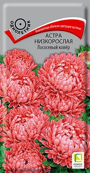 Цв. Астра Низкорослая Лососевый ковер 0,2 г ц/п Поиск