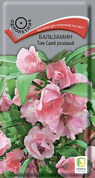 Цветы Бальзамин Том Самб Розовый 0,1 г ц/п Поиск (однол.)