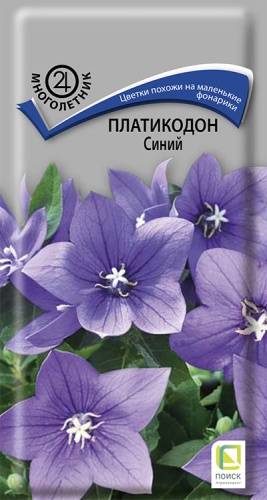 Цветы Платикодон Синий, 0,1 г ц/п Поиск (мног.)