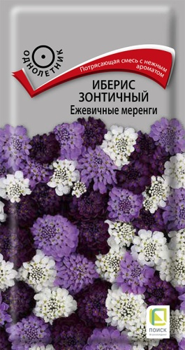 Цветы Иберис Ежевичные меренги, смесь 0,1 г ц/п Поиск (однол.)