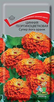 Цветы Цинния Супер Йога Оранж, георгиноцветковая 0,4 г ц/п Поиск (однол.)