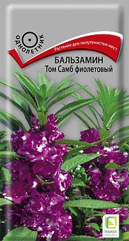 Цветы Бальзамин Том Самб Фиолетовый 0,1 г ц/п Поиск (однол.)