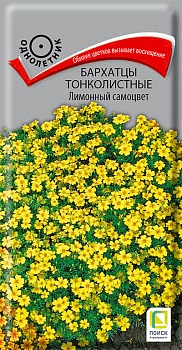 Цветы Бархатцы тонкол. Лимонный самоцвет 0,1 г ц/п Поиск