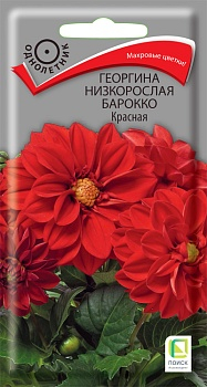 Цветы Георгина Барокко Красная 0,1 г ц/п Поиск (однол.)