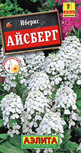 Иберис Айсберг однолетний РАСПРОДАЖА СРОК РЕАЛИЗАЦИИ до 12.2022