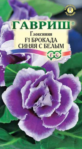 Глоксиния Брокада синяя с белым F1  5 шт. Саката сер.Эксклюзив