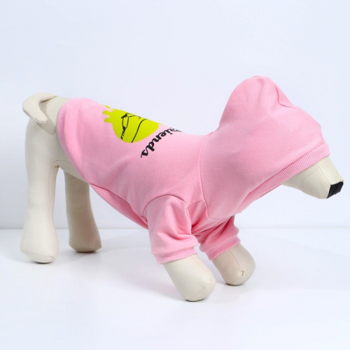 Толстовка Best Friends для собак (футер), размер XS (ДС 18, ОШ 28-30, ОГ 38-40), розовая