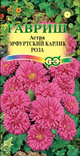 Цв. Астра карлик Эрфуртский карлик Роза 0,3 г ц/п Гавриш