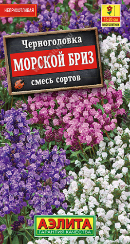 Цветы Черноголовка Морской Бриз, смесь 0,05 г ц/п Аэлита (мног.) (почвопокровное)