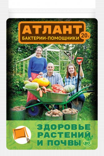 59руб.89руб.Атлант почвоулучшитель бактерии - Помощники (пак.20г) Питание и Рост