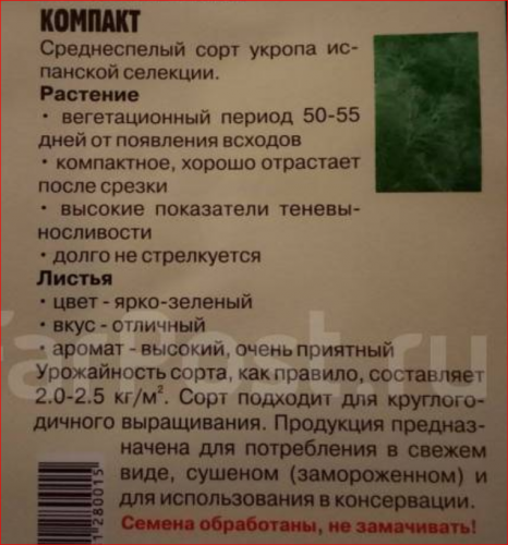 Семена Укроп Испанский компакт. МОЖНО ДОМА ВЫРАЩИВАТЬ КРУГЛЫЙ ГОД . испанская селекция