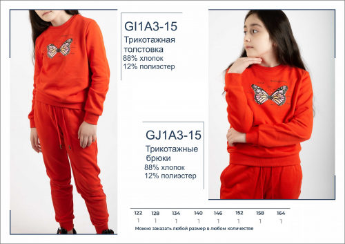 GI1A3-15 Толстовка для девочек
