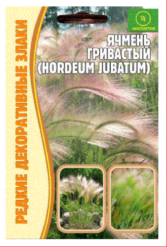 29 р.35 р.Семена Ячмень гривастый (Hordeum jubatum)  0.1г