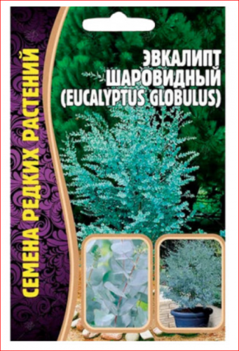 36 р.46 р.Семена Эвкалипт Шаровидный 10 сем. БОНСАЙ. КОМНАТНЫЙ. УЛИЧНЫЙ..