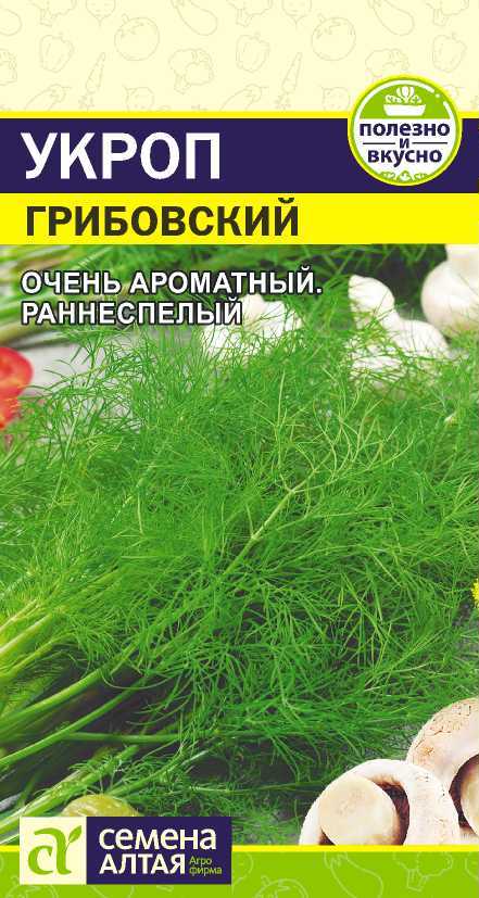 цопе попки 2 Экспресс Офис