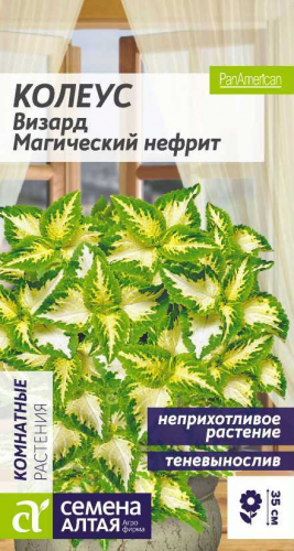 Цветы Колеус Визард Магический Нефрит/Сем Алт/цп 8 шт.