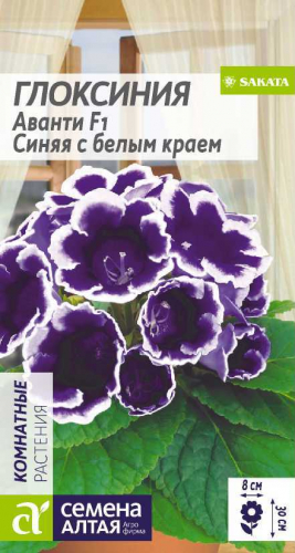 Цветы Глоксиния Аванти Синяя с белым краем/Сем Алт/цп 8 шт.