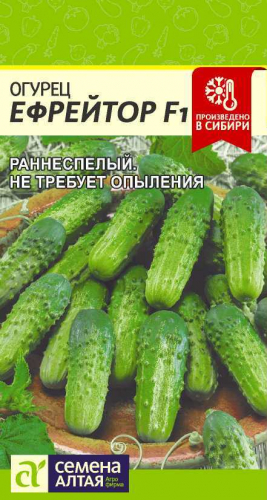 Огурец Ефрейтор F1/Сем Алт/цп 5 шт.