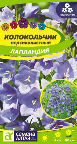 Цветы Колокольчик Лапландия персиколистный/Сем Алт/цп 0,05 гр. многолетник НОВИНКА