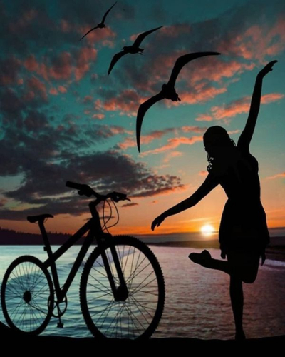 Алмазная мозаика круглыми стразами Девушка и велосипед