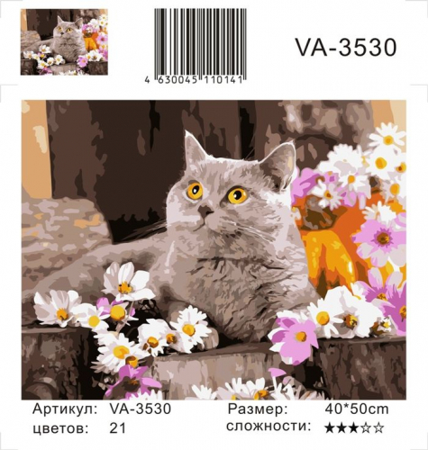 Картина по номерам 40х50 - Серый котик
