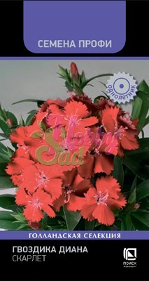Цветы Гвоздика Диана Скарлет (10 шт) Поиск Семена Профи
