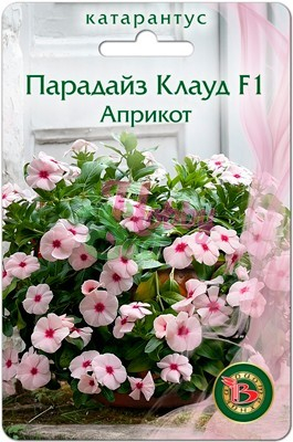 Цветы Катарантус розовый (Винка) Парадайз Клауд F1 Априкот (5 шт) Биотехника