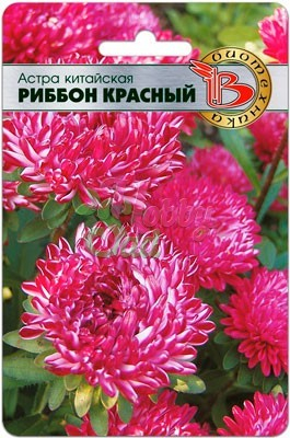 Цветы Астра китайская Риббон Красный (30 шт) Биотехника
