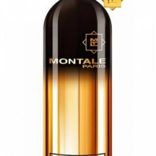 Montale So Amber EDP (унисекс) 100 мл селектив копия