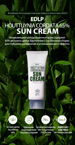 Derma Factory Houttuynia Cordata 65% Sun Cream Солнцезащитный крем с экстрактом цветка хауттюйнии 50мл