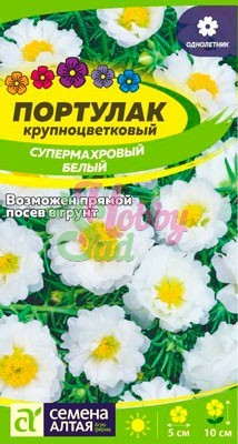 Цветы Портулак Супермахровый Белый (0,1 г) Семена Алтая