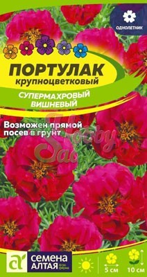 Цветы Портулак Супермахровый Вишневый (0,1 г) Семена Алтая